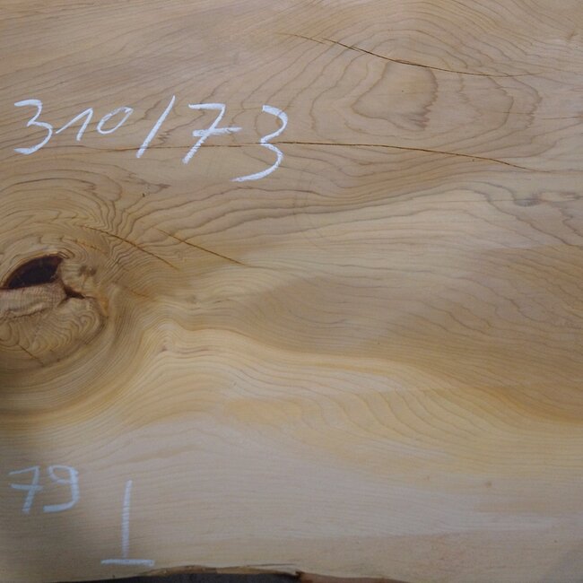 Lebanon Cedar table top, approx. 3100 x 730 x 75 mm, 13309