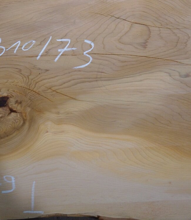 Lebanon Cedar table top, approx. 3100 x 730 x 75 mm, 13309