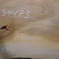 Lebanon Cedar table top, approx. 3100 x 730 x 75 mm, 13309