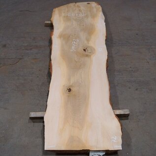 Lebanon Cedar table top, approx. 3100 x 730 x 75 mm, 13309