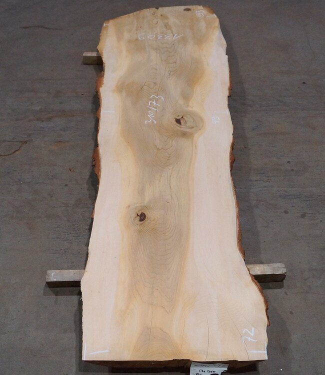 Lebanon Cedar table top, approx. 3100 x 730 x 75 mm, 13309