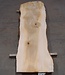 Lebanon Cedar table top, approx. 3100 x 730 x 75 mm, 13309