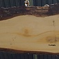 Lebanon Cedar table top, approx. 3100 x 730 x 75 mm, 13309