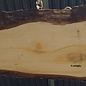 Libanon Zeder Tischplatte, ca. 3100 x 730 x 75 mm, 13309