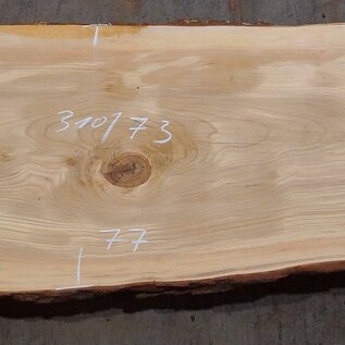 Lebanon Cedar table top, approx. 3000 x 730 x 75 mm, 13308