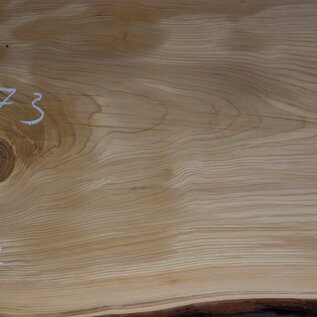 Lebanon Cedar table top, approx. 3000 x 730 x 75 mm, 13308