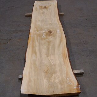 Lebanon Cedar table top, approx. 3000 x 730 x 75 mm, 13308