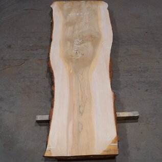 Lebanon Cedar table top, approx. 3100 x 820 x 75 mm, 13307