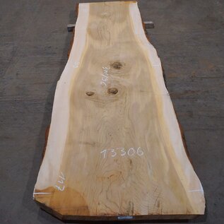 Lebanon Cedar table top, approx. 3100 x 960 x 75 mm, 13306