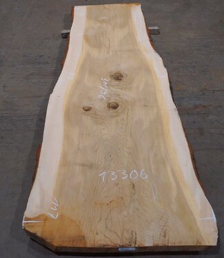 Lebanon Cedar table top, approx. 3100 x 960 x 75 mm, 13306