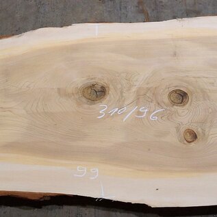 Lebanon Cedar table top, approx. 3100 x 960 x 75 mm, 13306