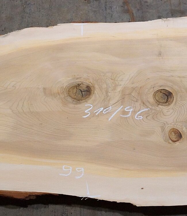 Lebanon Cedar table top, approx. 3100 x 960 x 75 mm, 13306