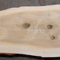 Lebanon Cedar table top, approx. 3100 x 960 x 75 mm, 13306