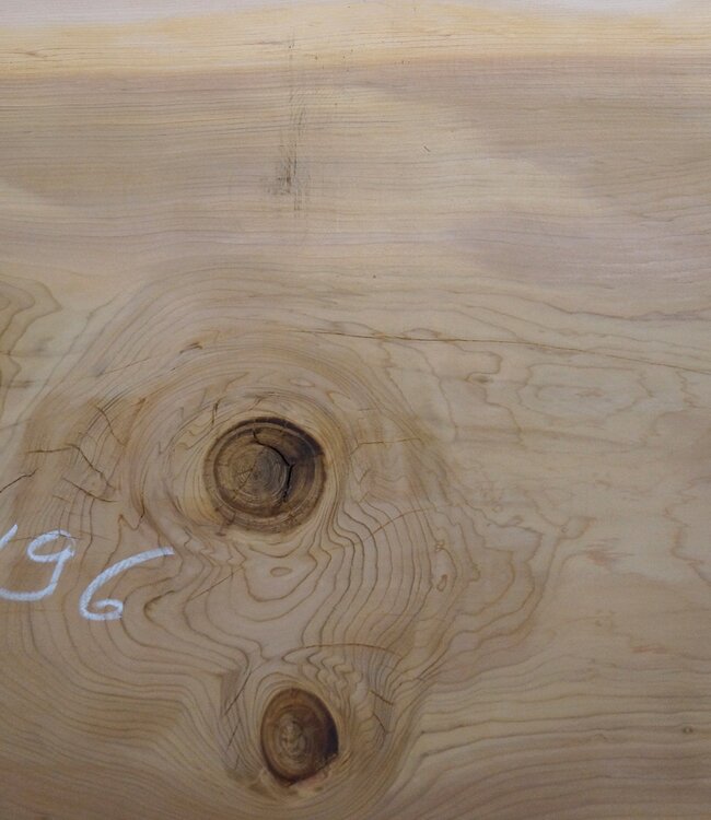 Lebanon Cedar table top, approx. 3100 x 960 x 75 mm, 13306