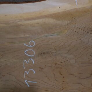 Lebanon Cedar table top, approx. 3100 x 960 x 75 mm, 13306