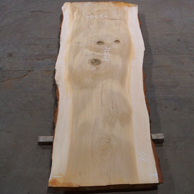 Libanon Zeder Tischplatte, ca. 3100 x 960 x 75 mm, 13306