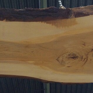 Lebanon Cedar table top, approx. 3100 x 960 x 75 mm, 13306