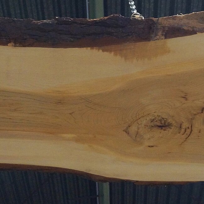 Lebanon Cedar table top, approx. 3100 x 960 x 75 mm, 13306