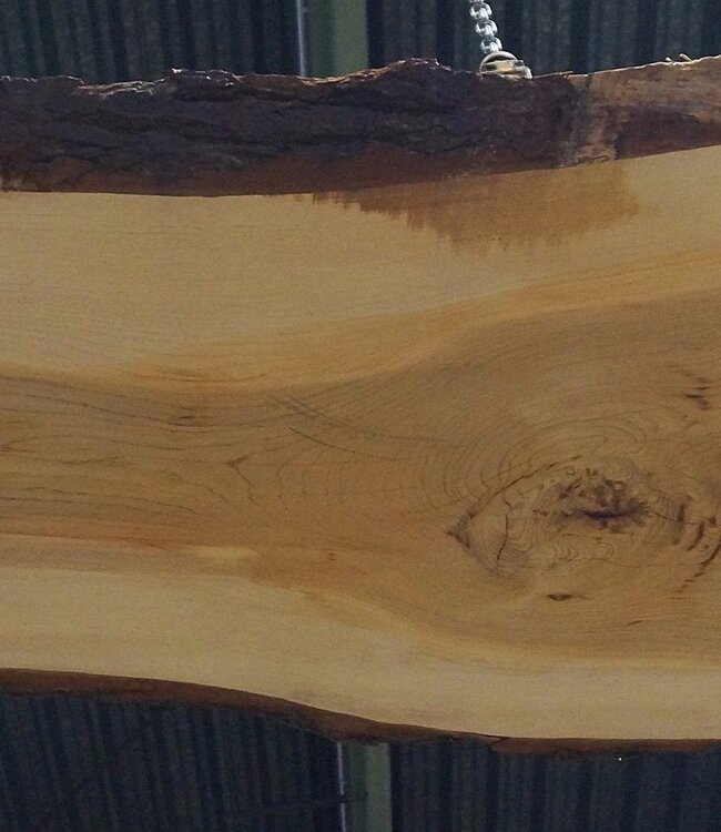 Lebanon Cedar table top, approx. 3100 x 960 x 75 mm, 13306