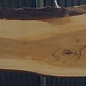 Lebanon Cedar table top, approx. 3100 x 960 x 75 mm, 13306