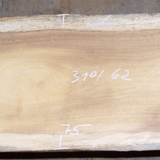 Iroko table top, approx. 3100 x 620 x 65 mm, 13296