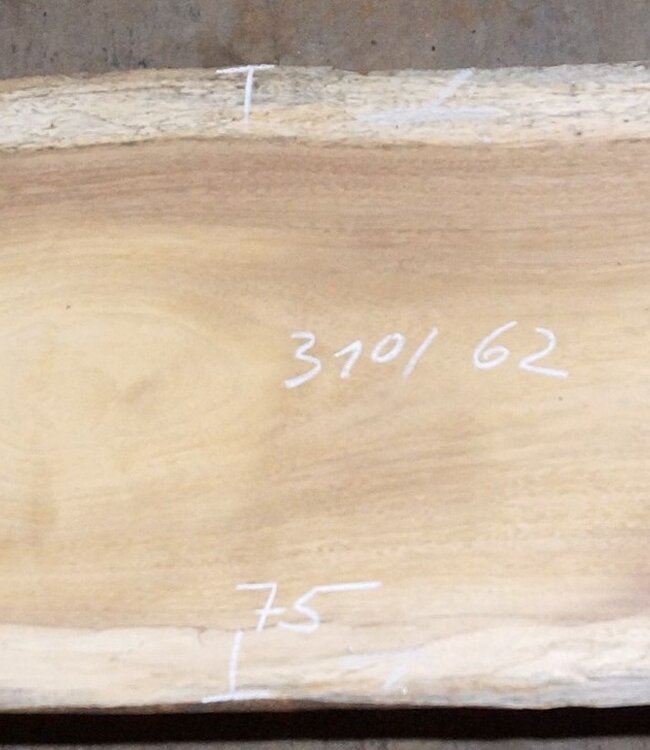 Iroko Tischplatte  ca. 3100 x 620 x 65 mm, 13296