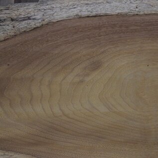 Iroko table top, approx. 3100 x 620 x 65 mm, 13296