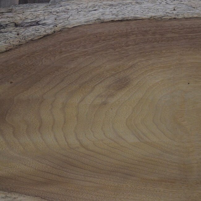 Iroko Tischplatte  ca. 3100 x 620 x 65 mm, 13296
