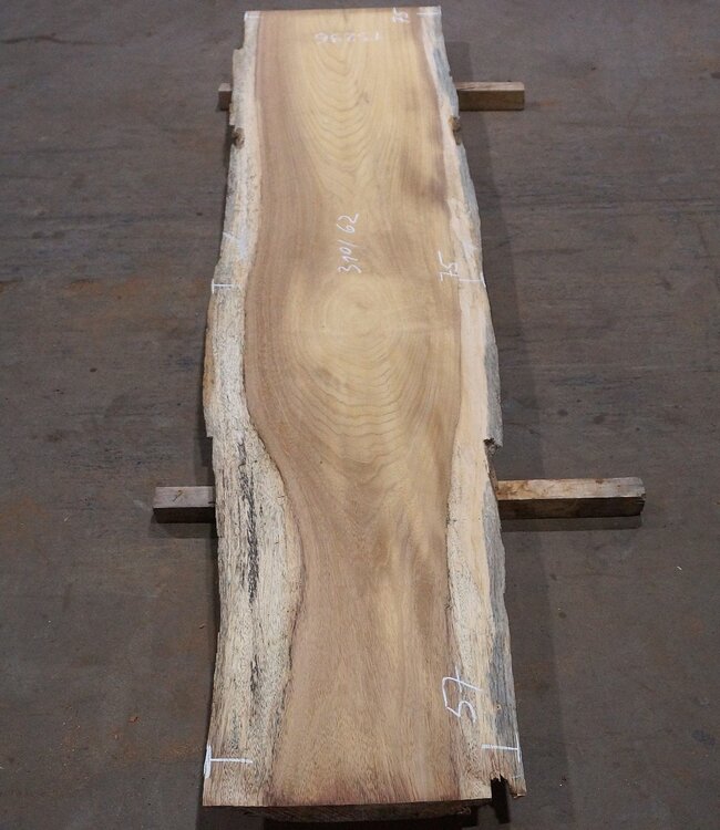 Iroko Tischplatte  ca. 3100 x 620 x 65 mm, 13296