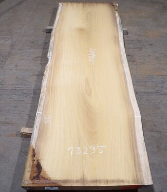 Iroko table top, approx. 3100 x 850 x 65 mm, 13295