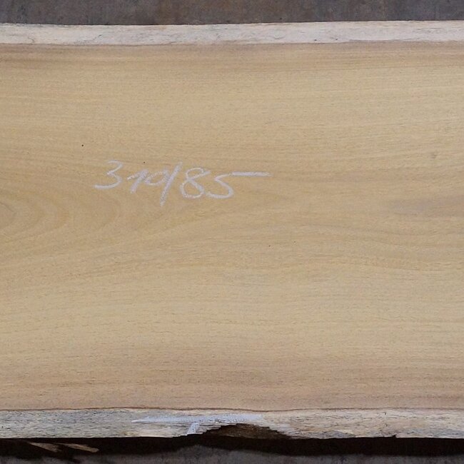 Iroko table top, approx. 3100 x 850 x 65 mm, 13295