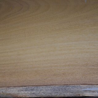Iroko table top, approx. 3100 x 850 x 65 mm, 13295