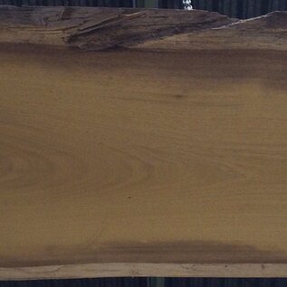 Iroko table top, approx. 3100 x 850 x 65 mm, 13295