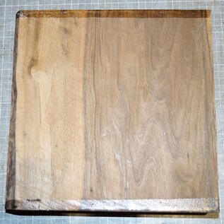 Walnut, european, approx. 260 x 260 x 61 mm, 2,3 kg