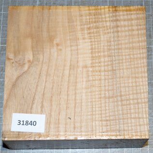 Ash fiddleback, approx. 170 x 170 x 62 mm, 1,3 kg