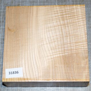 Ash fiddleback, approx. 190 x 185 x 61 mm, 1,6 kg
