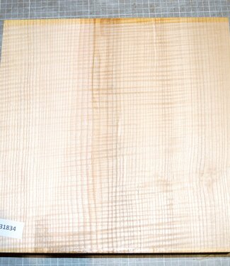 Esche Riegel, ca. 330 x 330 x 61 mm, 4,4 kg