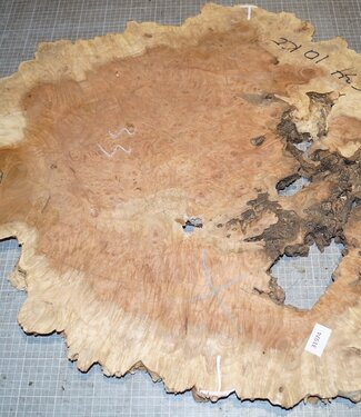 Amboina burl, approx. 800 x 700 x 40mm, 10kg