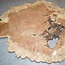 Amboina burl, approx. 800 x 700 x 40mm, 10kg