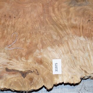 Amboina burl, approx. 960 x 720 x 42mm, 13,4kg