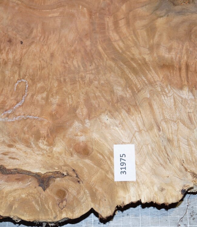 Amboina burl, approx. 960 x 720 x 42mm, 13,4kg