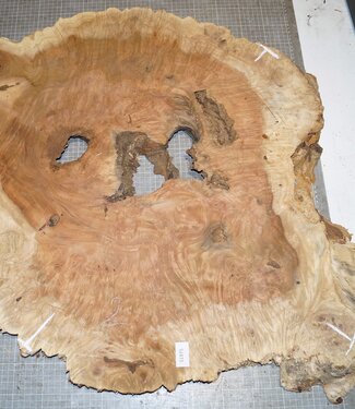 Amboina Maser, ca. 960 x 720 x 42mm, 13,4kg