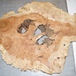 Amboina burl, approx. 960 x 720 x 42mm, 13,4kg