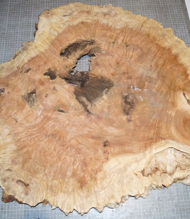 Amboina Maser, ca. 730 x 850 x 40mm, 12kg