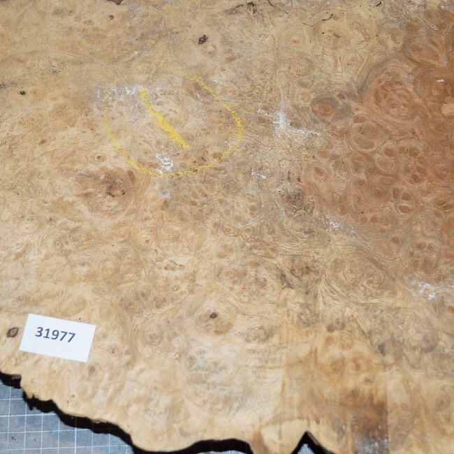 Amboina burl, approx. 730 x 420 x 50mm, 6,8kg