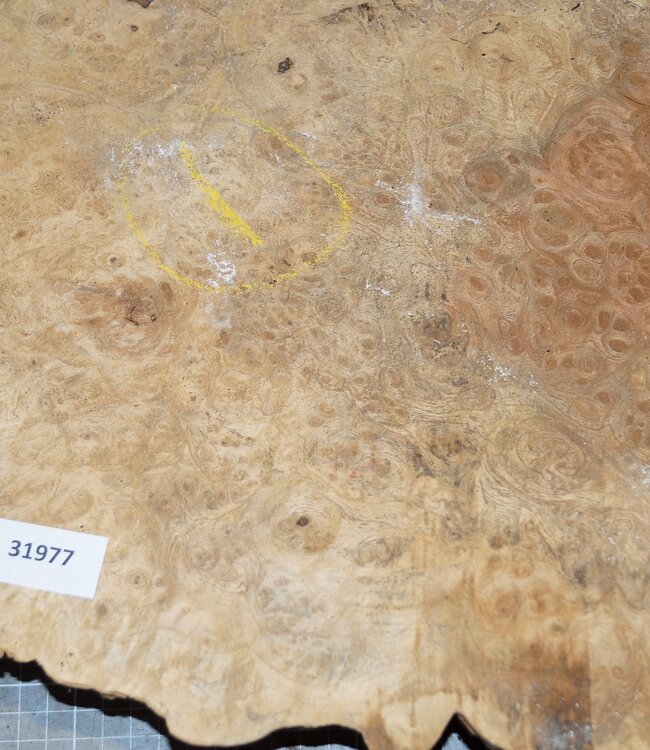 Amboina Maser, ca. 730 x 420 x 50mm, 6,8kg