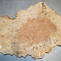 Amboina burl, approx. 730 x 420 x 50mm, 6,8kg