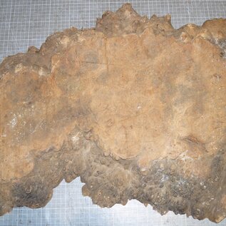 Amboina burl, approx. 730 x 420 x 50mm, 6,8kg