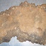 Amboina burl, approx. 730 x 420 x 50mm, 6,8kg
