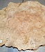 Amboina burl, approx. 640 x 470 x 45mm, 6,1kg